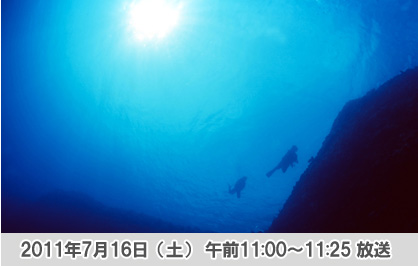 今 守るべき沖縄の海